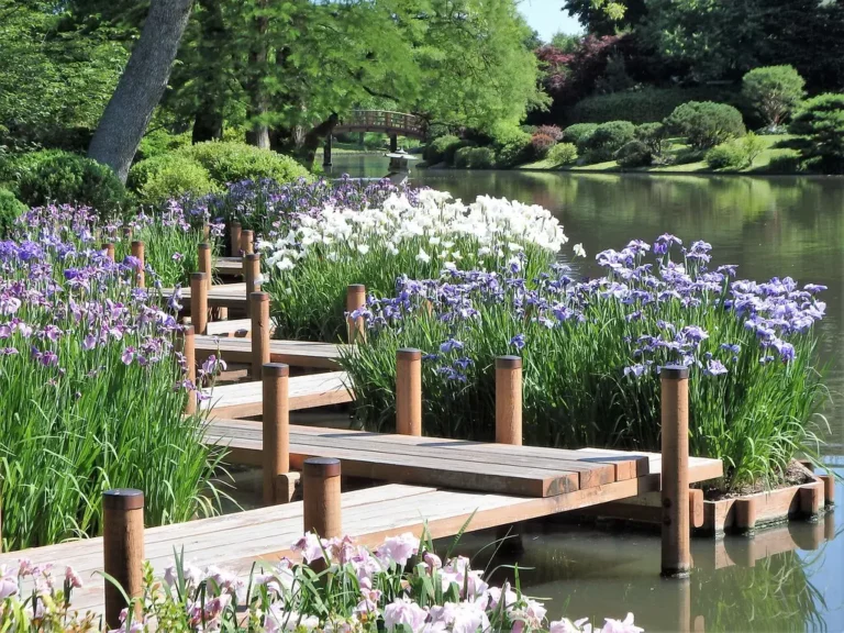 Missouri Botanical Garden Tickets: Prices, Hours, and the Japanese Festival Weekend Worth Planning Around